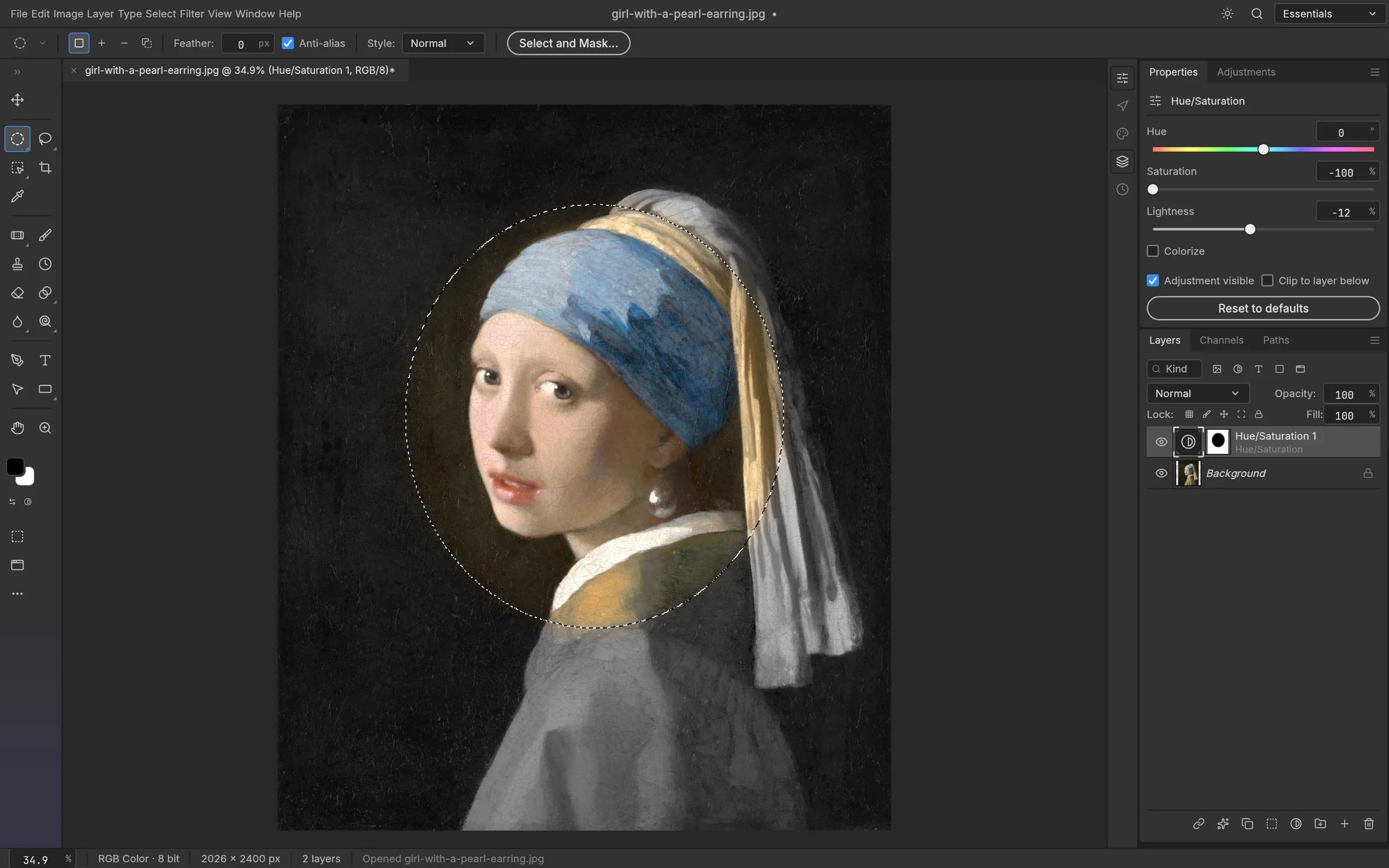 PhotoCraft showing an elliptical layer mask on Girl with a Pearl Earring